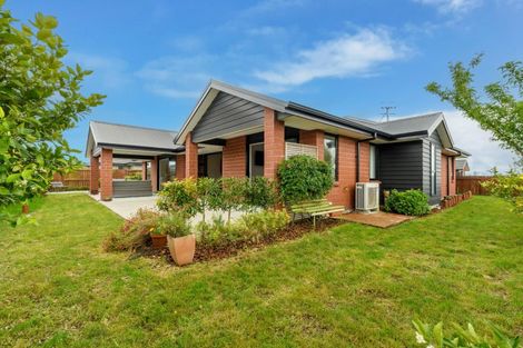 Photo of property in 62 Farrier Street, Papamoa, 3118