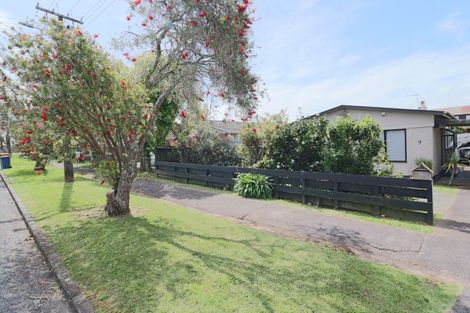 Photo of property in 9 Rewa Street, New Lynn, Auckland, 0600