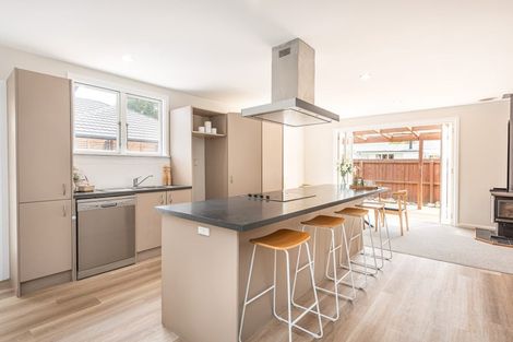 Photo of property in 57 Lagan Street, Belfast, Christchurch, 8051