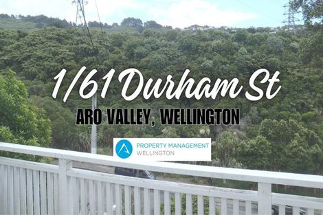 Photo of property in 61 Durham Street, Aro Valley, Wellington, 6021
