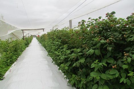 Photo of property in 71c Keri Downs Road, Kerikeri, 0294