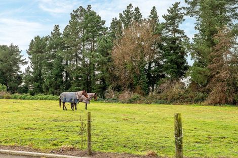 Photo of property in 51 Fountains Road, Halswell, Christchurch, 8025