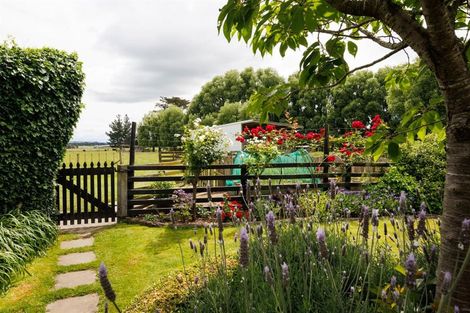 Photo of property in 552 Porewa Road, Marton, 4787