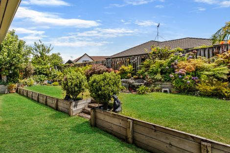 Photo of property in 25 Bethlehem Heights, Bethlehem, Tauranga, 3110