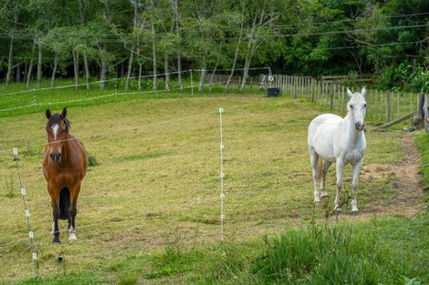 Photo of property in Glenmore Road, Coatesville, 0793
