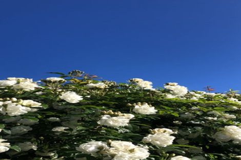 Photo of property in 16 Walshs Road, Allenton, Ashburton, 7700