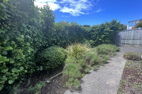 Photo of property in 19 Punjab Street, Khandallah, Wellington, 6035