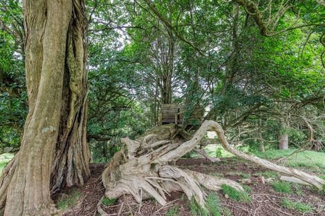 Photo of property in 68 Waitaheke Road, Ohaeawai, Kaikohe, 0472