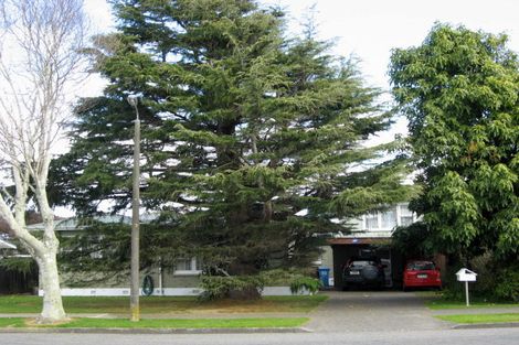 Photo of property in 42 Kennedy Drive, Levin, 5510
