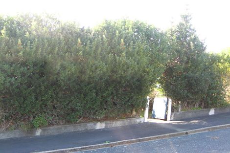 Photo of property in 47 Islington Street, North East Valley, Dunedin, 9010