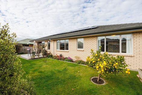Photo of property in 128a Warwick Street, Feilding, 4702