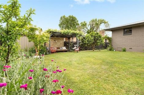 Photo of property in 72 Seventeenth Avenue, Tauranga South, Tauranga, 3112