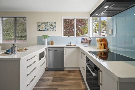 Photo of property in 165 Maxwells Line, Awapuni, Palmerston North, 4412