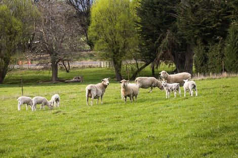 Photo of property in 309 Gladstone Road North, Mosgiel, 9092