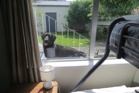 Photo of property in 3/15 Hutcheson Street, Nelson South, Nelson, 7010