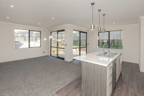Photo of property in 17 Ribbonwood Close, Te Kauwhata, 3710
