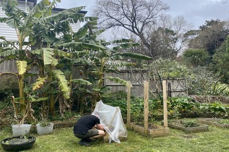 Photo of property in 2/24 Lauderdale Road, Birkdale, Auckland, 0626