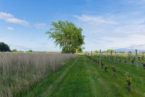 Photo of property in 35 Brighton Street, Island Bay, Wellington, 6023