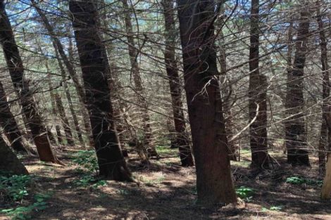 Photo of property in 443 East Takaka Road, East Takaka, Takaka, 7183