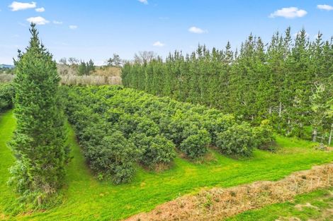Photo of property in 4790 State Highway 12, Kaikohe, 0473