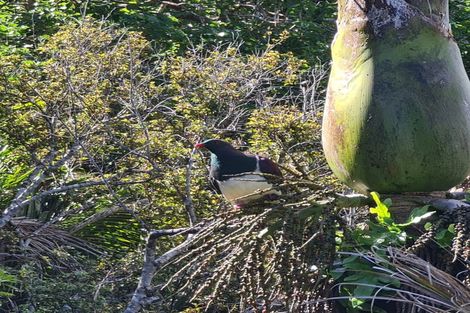 Photo of property in 10-12 Glenesk Road, Piha, New Lynn, 0772