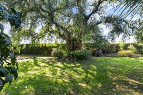 Photo of property in 72 Budge Street, Riversdale, Blenheim, 7201