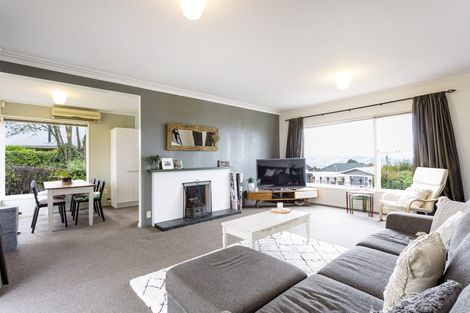 Photo of property in 117 Highgate, Roslyn, Dunedin, 9010