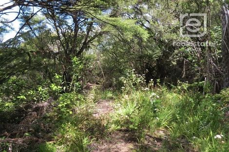 Photo of property in 492 Tuateawa Road, Tuateawa, Coromandel, 3583