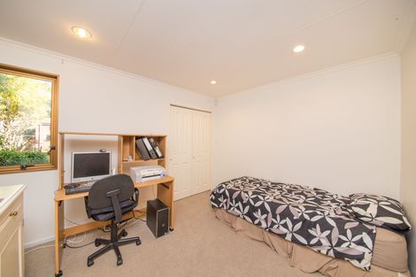 Photo of property in 193 The Terrace, Ashhurst, 4810