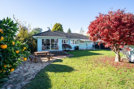 Photo of property in 34 Campbell Street, Leamington, Cambridge, 3432