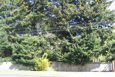 Photo of property in 198 State Highway 1, Waitahanui, Taupo, 3378