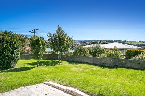 Photo of property in 43 Duckworth Street, Andersons Bay, Dunedin, 9013