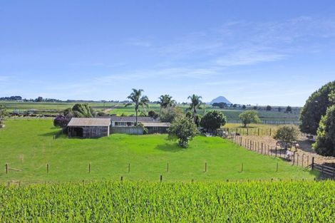 Photo of property in 641 Thornton Road, Thornton, Whakatane, 3194