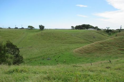 Photo of property in 81 Lindsay Road, Levin, 5510