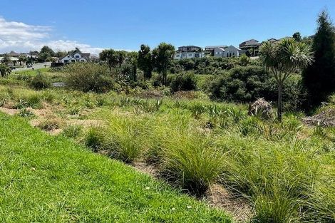 Photo of property in 160 Carmichael Road, Bethlehem, Tauranga, 3110