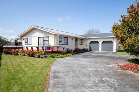 Photo of property in 21 Miller Place, Ngatea, 3503