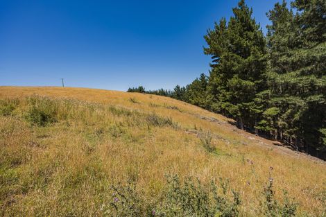 Photo of property in 45 Macs Ridge Road, Oamaru North, Oamaru, 9492