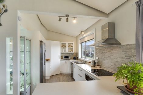 Photo of property in 11 Royal Terrace, Alexandra, 9320