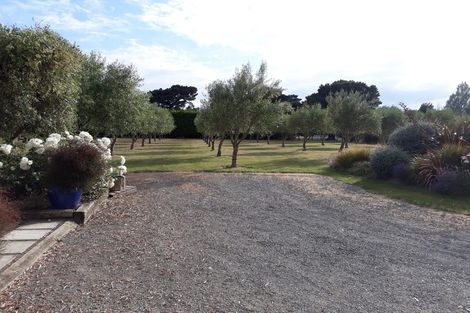 Photo of property in 31 Todds Road, Martinborough, 5711