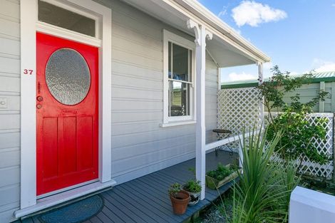 Photo of property in 37 Donald Mclean Street, Newtown, Wellington, 6021