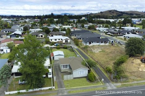 Photo of property in 39 Snell Street, Morrinsville, 3300
