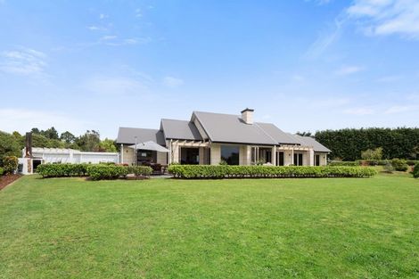 Photo of property in 938 Whakamarama Road, Whakamarama, Tauranga, 3179