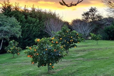 Photo of property in 1680 Tiki Sh25 Road, Preece Point, Coromandel, 3506