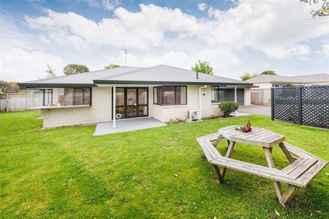 Photo of property in 626a Ferguson Street, Terrace End, Palmerston North, 4410