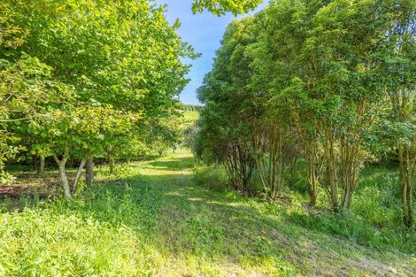 Photo of property in 115 Ellis Road, Otorohanga, 3974