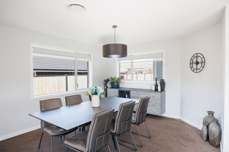 Photo of property in 163a Denbigh Street, Feilding, 4702