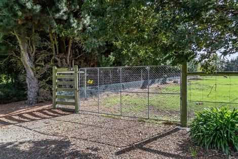 Photo of property in 313 Plaskett Road, Fernside, Rangiora, 7471