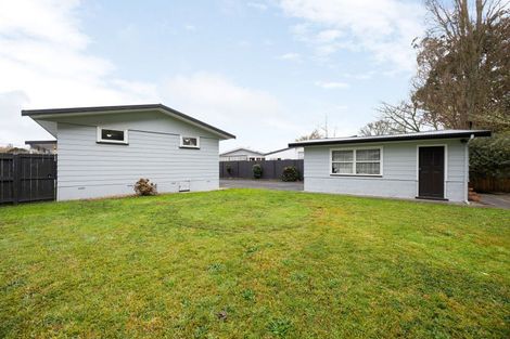 Photo of property in 23 Fitzroy Avenue, Fitzroy, Hamilton, 3206