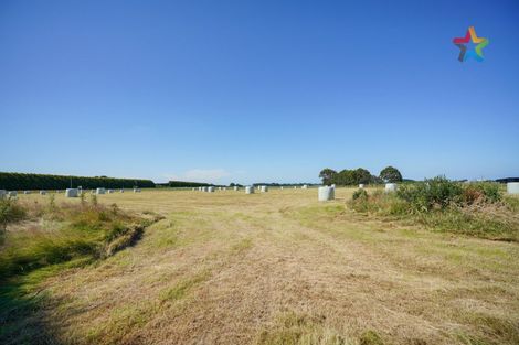 Photo of property in 15 Weir Road, Waianiwa, Invercargill, 9874