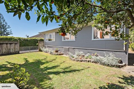 Photo of property in 90 Gloria Avenue, Te Atatu Peninsula, Auckland, 0610